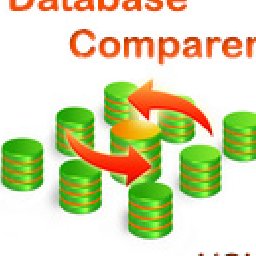 Database Comparer VCL Company License