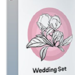 Movavi effect Wedding Set 21% OFF