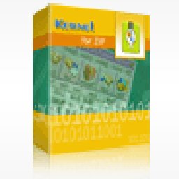 Kernel for ZIP Repair 25% OFF