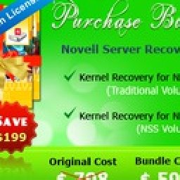 Novell Server Recovery