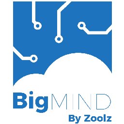 BigMIND Home 60% OFF