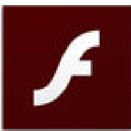 Flash Using Websites Search Script