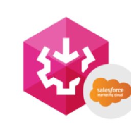 SSIS Data Flow Components Salesce Marketing Cloud 25% OFF