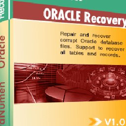 DataNumen Oracle Recovery