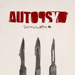 Autopsy Simulator PC 12% OFF