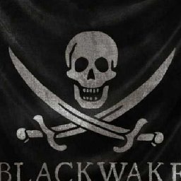 Blackwake PC 21% OFF