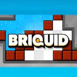 Briquid PC 61% OFF