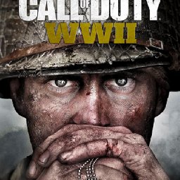 Call of Duty WWII PC