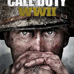 Call of Duty WWII 44% OFF