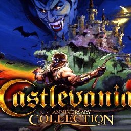 Castlevania Anniversary Collection PC 84% OFF