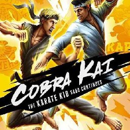 Cobra Kai 84% OFF