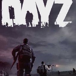 DayZ 10% OFF