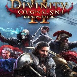 Divinity Original Sin 31% OFF