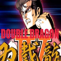 Double Dragon IV PC 79% OFF