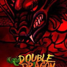 Double Dragon Trilogy PC 18% OFF