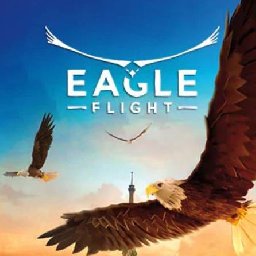 Eagle Flight PC 10% OFF