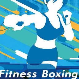 Fitness Boxing Switch