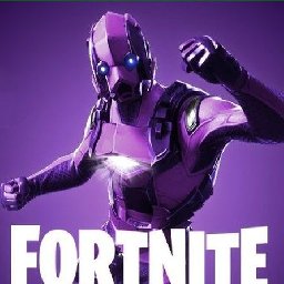 Fortnite Bundle