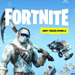 Fortnite Deep Freeze 11% OFF