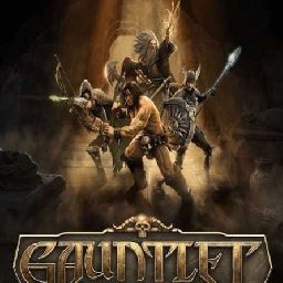 Gauntlet Slayer Edition PC 88% OFF