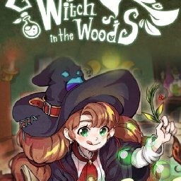 Little Witch in the Woods PC 12% OFF