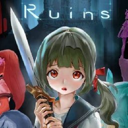 Lost Ruins PC 63% OFF