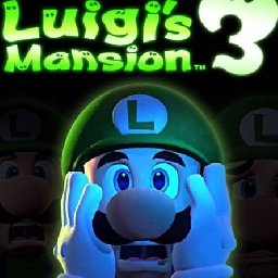 Luigi Mansion Switch