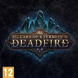 Pillars of Eternity II Deadfire Obsidian Edition PC 87% OFF