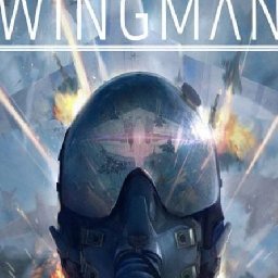 Project Wingman PC 79% OFF