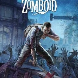 Project Zomboid PC 16% OFF