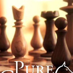 Pure Chess Grandmaster Edition PC 92% OFF