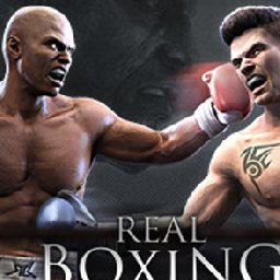 Real Boxing PC 18% OFF