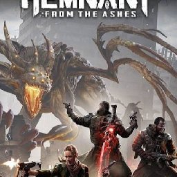 Remnant 12% OFF