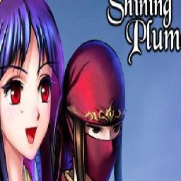 Shining Plume PC 83% OFF