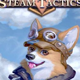 Steam Tactics PC 41% OFF