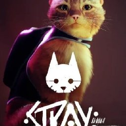 Stray PC 24% OFF