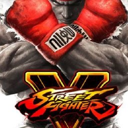 Street Fighter V PC 93% OFF