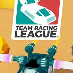 Team Racing League PC 24% OFF