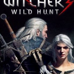 The Witcher Wild Hunt GOTY PC 80% OFF