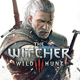 The Witcher 46% OFF