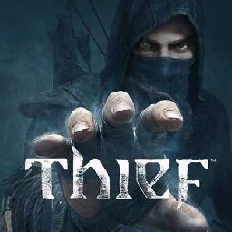 Thief 81% OFF