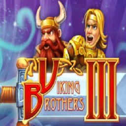 Viking Brothers PC 33% OFF