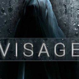 Visage PC 14% OFF