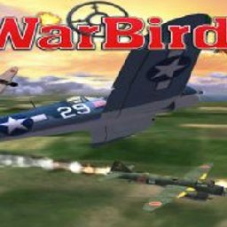 WarBirds World War II Combat Aviation PC