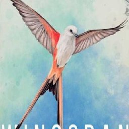 Wingspan PC 75% OFF