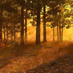 3PlaneSoft Autumn est 3D Screensaver 11% OFF