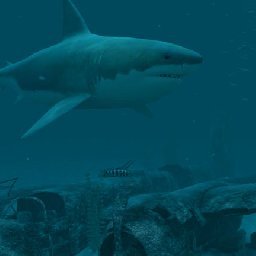 3PlaneSoft Sharks 11% OFF